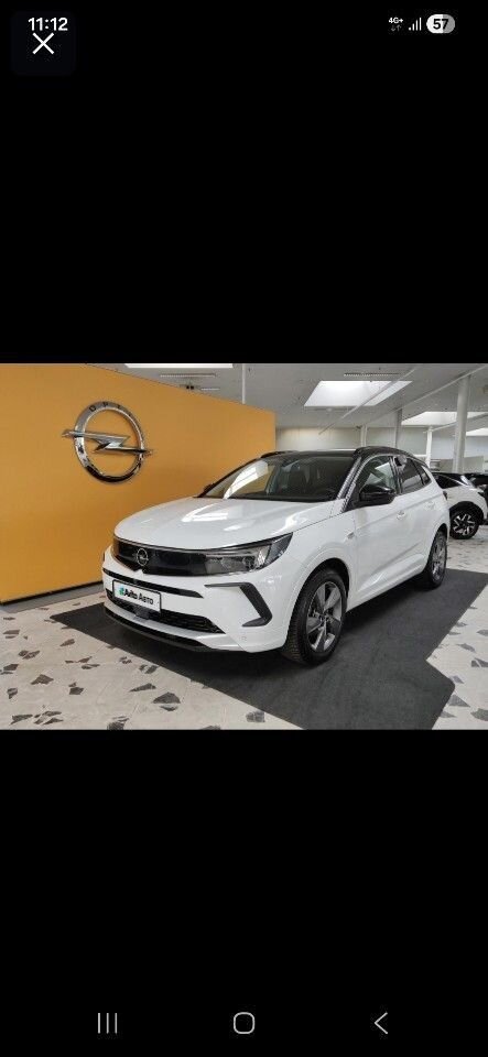 Opel Grandland X: фото из отзыва