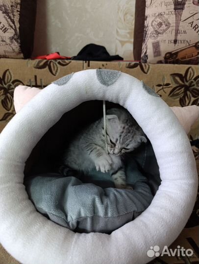 Лежанка для кошек