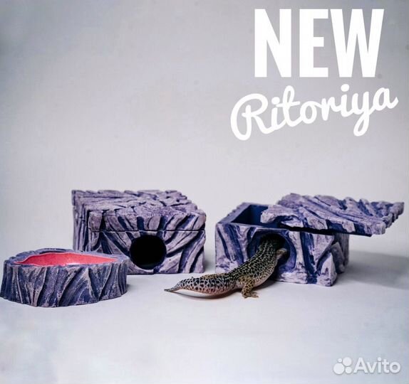 Влажная камера для рептилий, укрытие и поилка