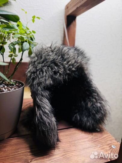 Шапка ушанка с мехом