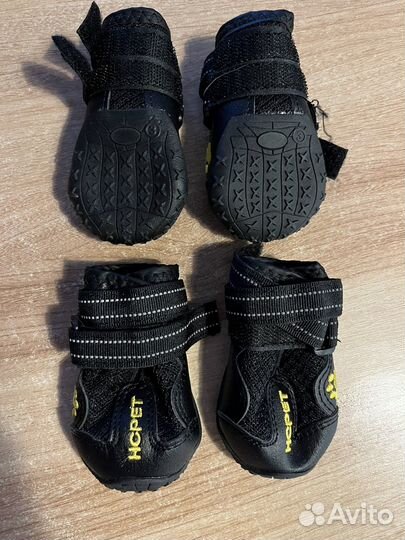 Одежда для собак