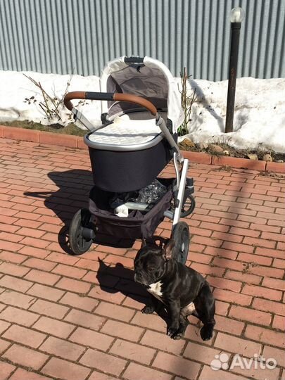 Коляска uppa baby vista 2 in 1