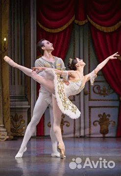 Спящая красавица билеты за 1/2 стоимости