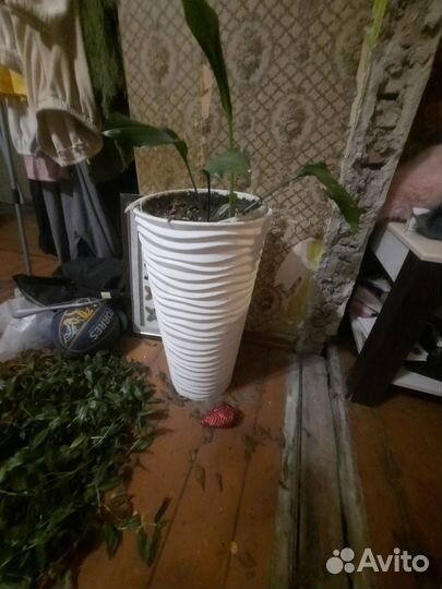 Кашпо для цветов напольное
