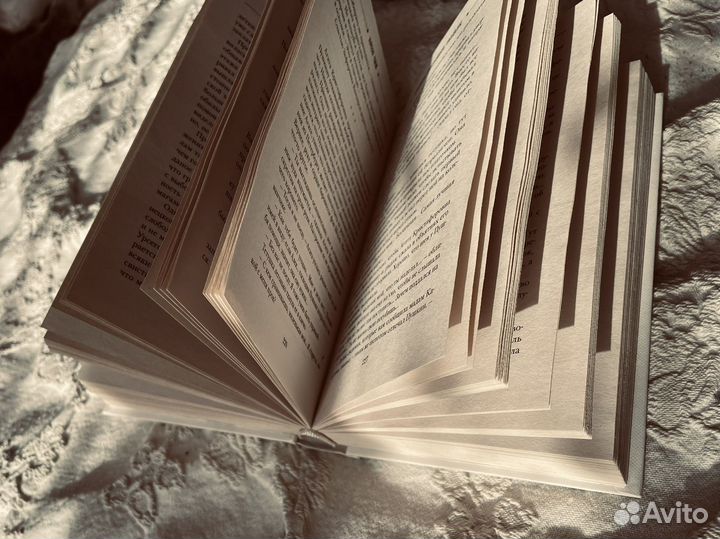 Правила счастливой свадьбы Антон Чиж Детектив