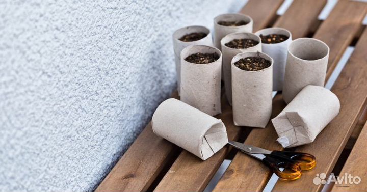 Втулки от туалетной бумаги