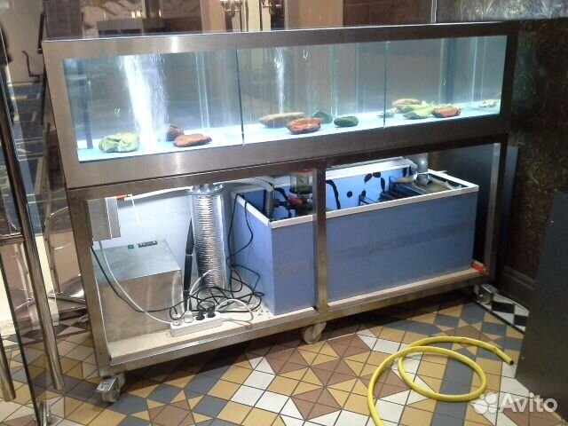 Аквариум для устриц и живых морепродуктов