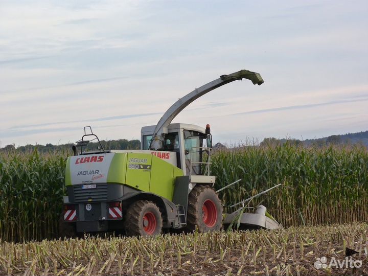 Услуги по уборки сенажа и силоса комбайнами