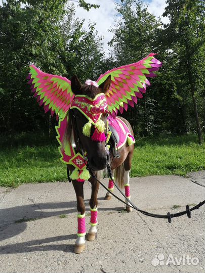 Конный клуб 