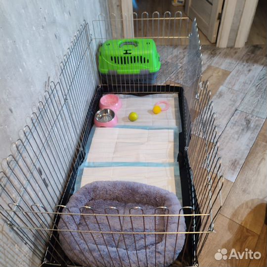 Вольер для собак с подстилкой