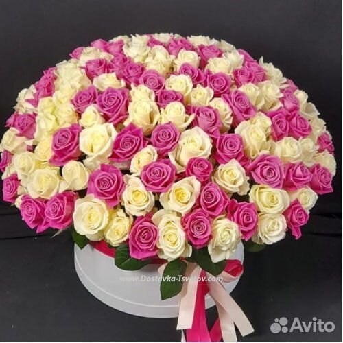 Красные розы букет 101 роза 51 роза