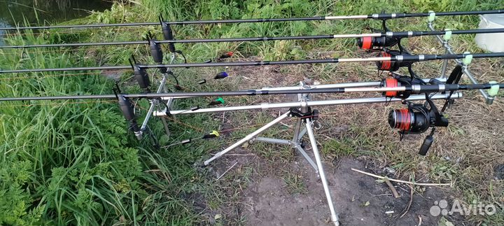 Карповый комплект из 4