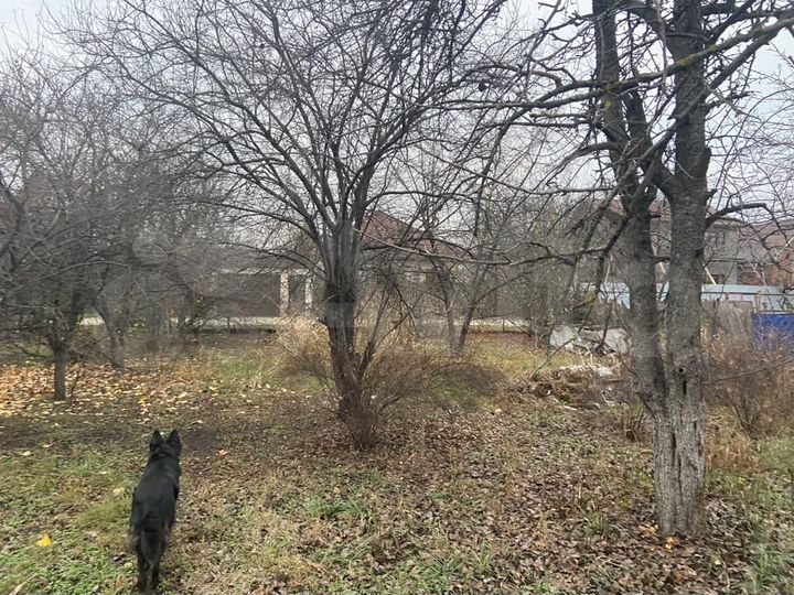 Участок 11,5 сот. (ИЖС)