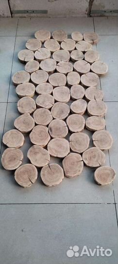 Торцевые спилы деревьев