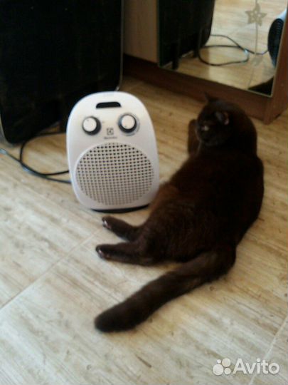 Тепловентилятор Elektrolux