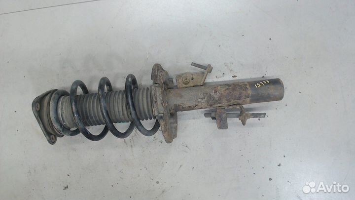 Амортизатор подвески Ford Focus 3, 2015