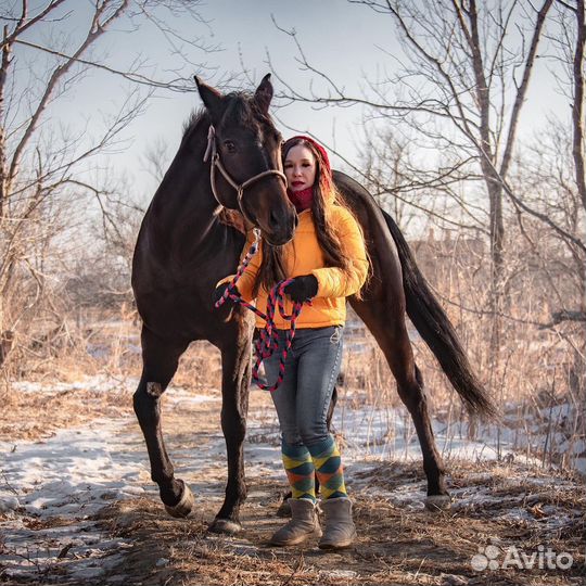 Продается кобыла