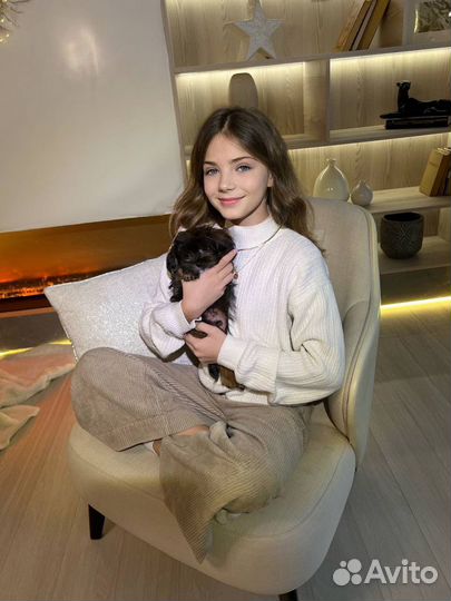 Фотосессия с животными