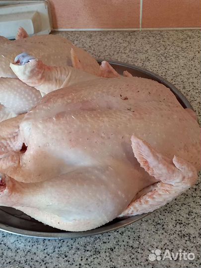 Мясо бройлера, индейки