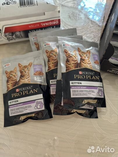 Корм для котят pro plan мягкий