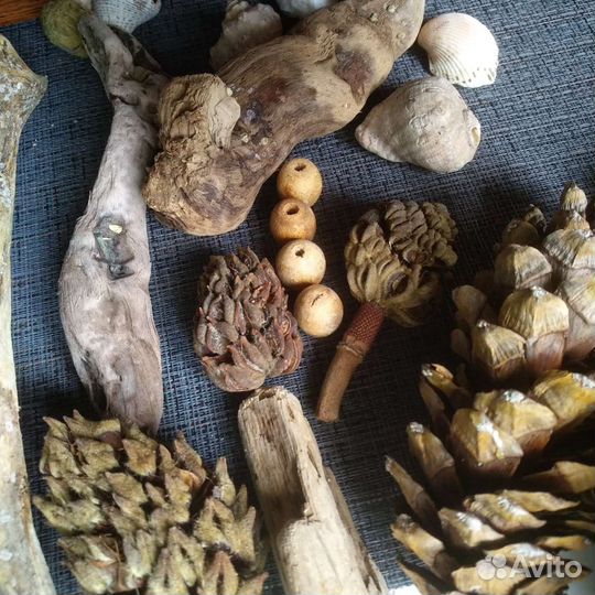 Дрифтвуд набор для творчества. Лот 43