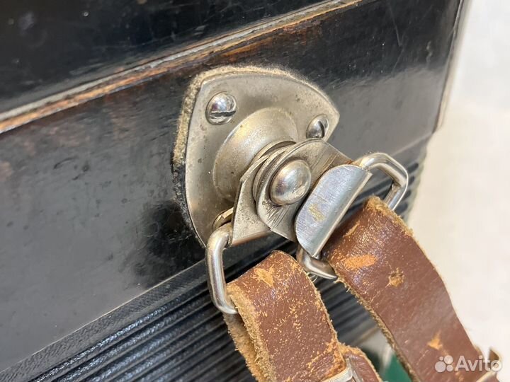 Баян пятирядный