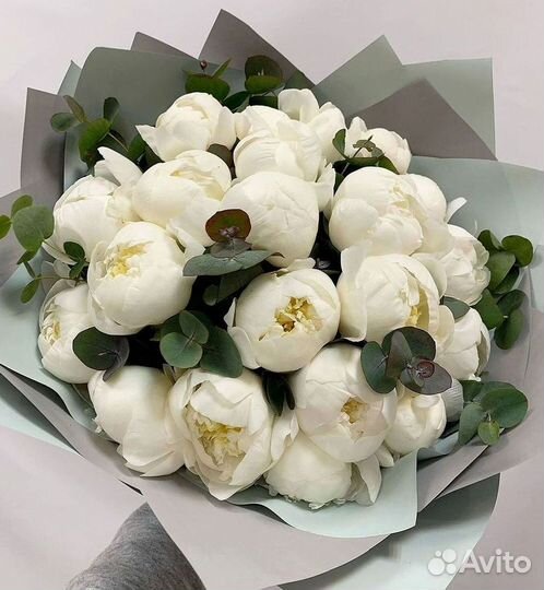 Пионы Розы Доставка