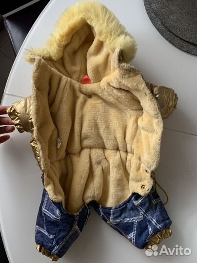 Одежда для маленьких собак