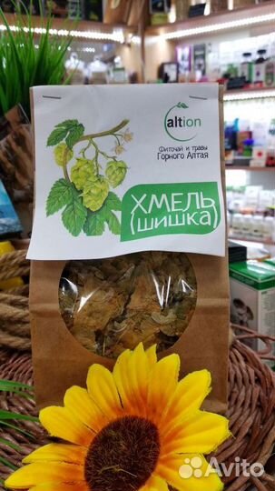 Хмель шишка