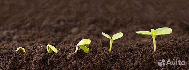 Торфяной субстрат