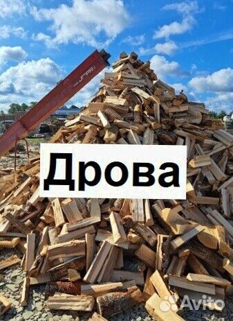 Дрова берёза