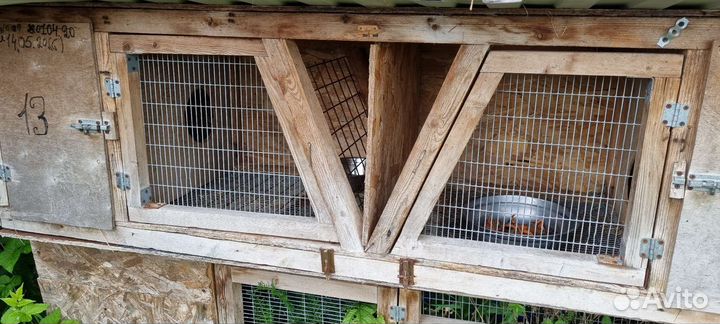 Клетка для кролика