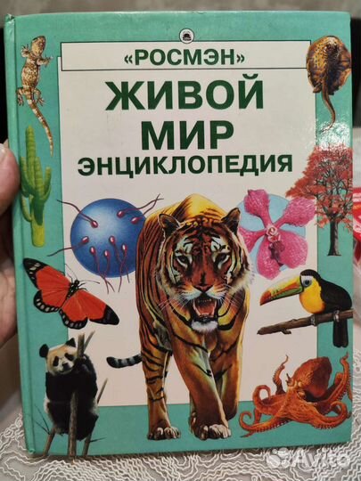 Энциклопедия для детей