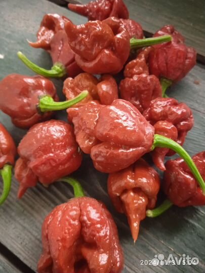 Сушёные Хабанеро, Скорпион, Каролина рипер