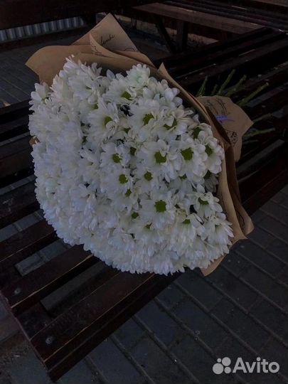 Ромашки цветы букеты