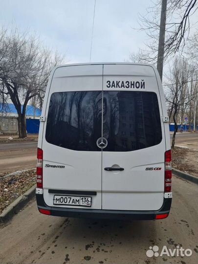 Пассажирские перевозки микроавтобус Mercedes Lux