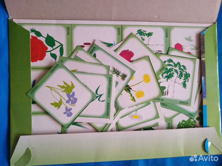 Развивающие игры для детей