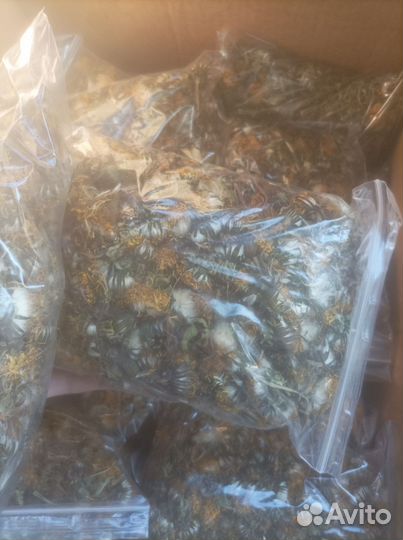 Корм для шиншилл