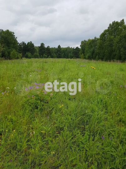 Участок 10,4 сот. (личное подсобное хозяйство (лпх))