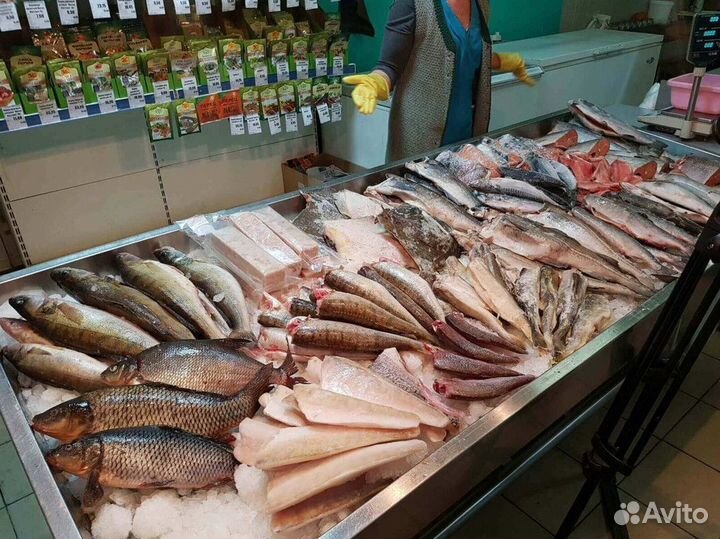 Продам магазин свежей рыбы и морепродуктов