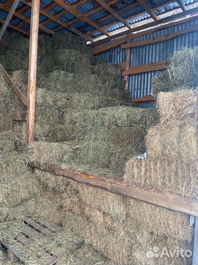 Сено в тюках