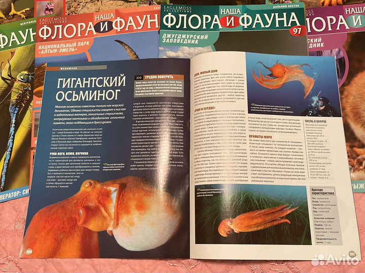 Журналы Флора и Фауна