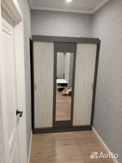 Шкаф-купе Бася/Роджина