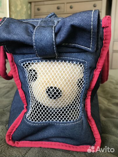 Собачка Чичилав в сумке