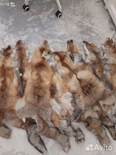 Шкуры (лиса) 9шт