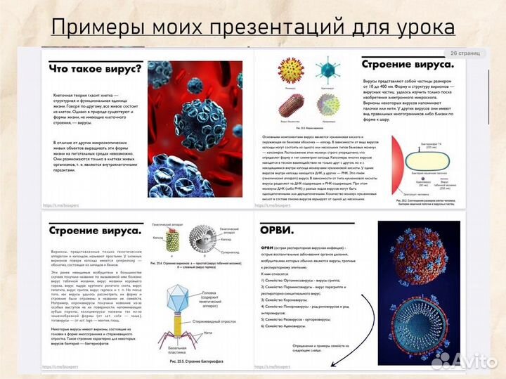 Репетитор по биологии ЕГЭ ОГЭ