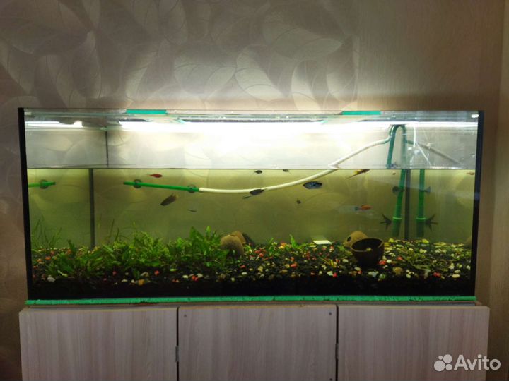 Аквариум
