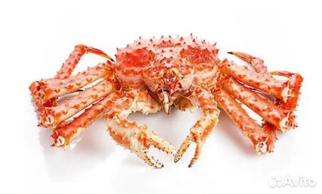 Краб камчатский целый