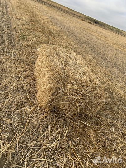 Салома в тюках