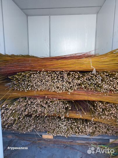 Прут ивы для плетения изделий